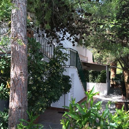 Villa Irene В'єсте Екстер'єр фото